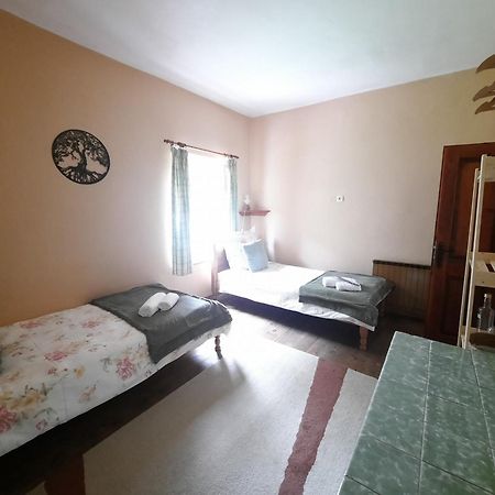 Stara Hisa Appartement Log Cezsoski Buitenkant foto