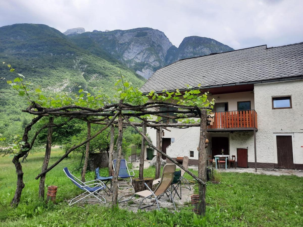 Stara Hisa Appartement Log Cezsoski Buitenkant foto