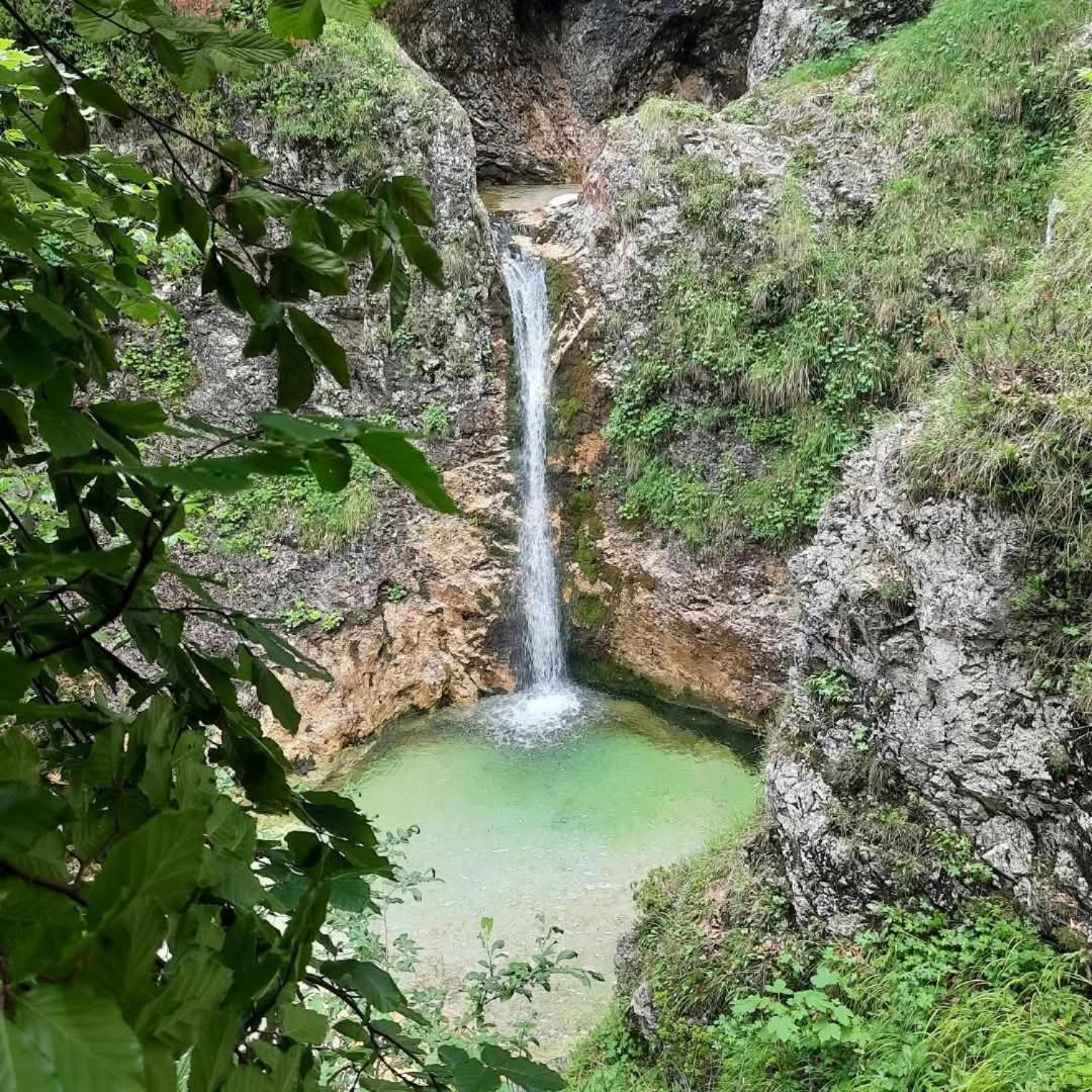 Stara Hisa Appartement Log Cezsoski Buitenkant foto